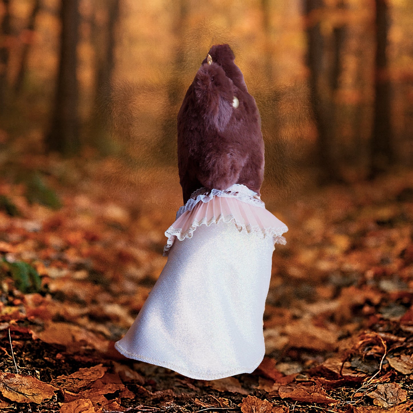 Estrelli Diose de Otoño