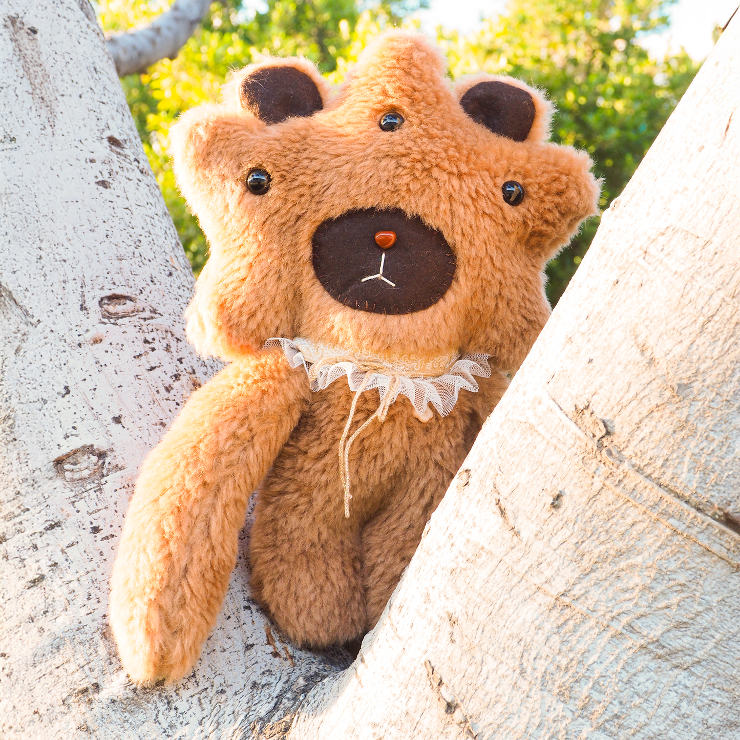 Estrelli Teddystar